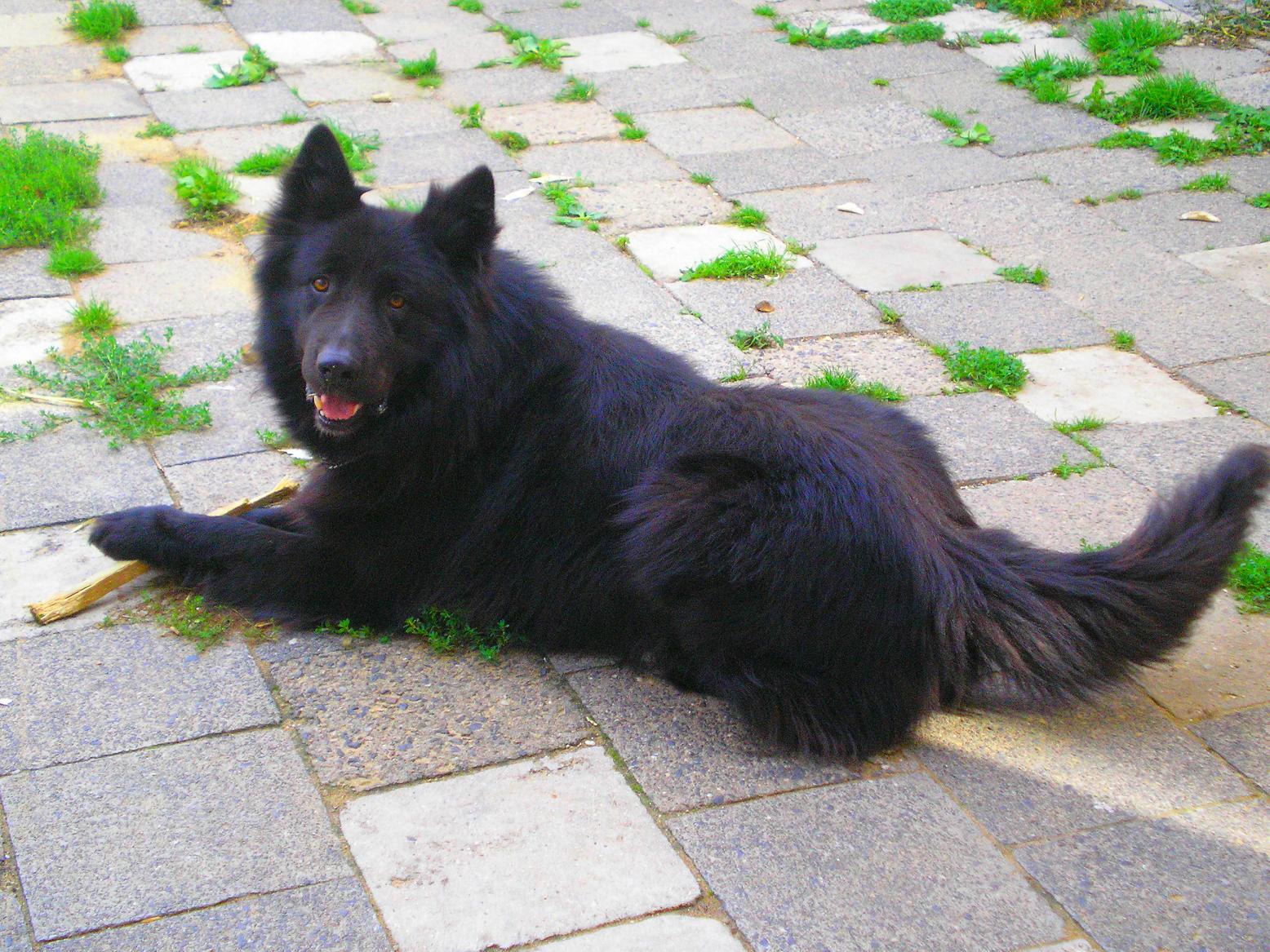 zase cezarek